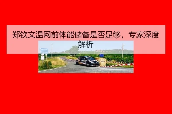 zheng-qin-wen-wen-wang-qian-ti-neng-chu-bei-shi-fou-zu-gou-zhuan-jia-shen-du-jie-xi-2-886.jpg